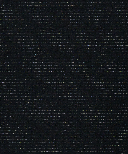 ラメボーダータンクトップ